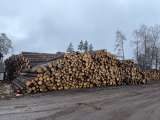 Пиломатериал оптом Брус - Доска от производителя