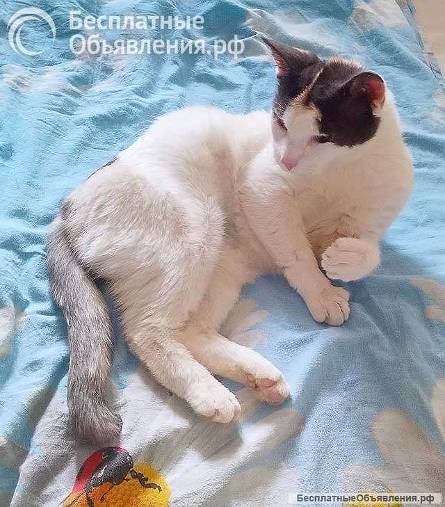 Зюфа ищет дом