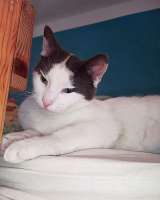 Зюфа ищет дом