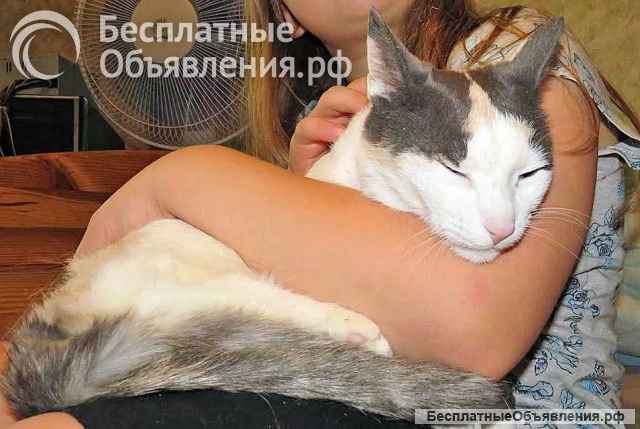 Зюфа ищет дом