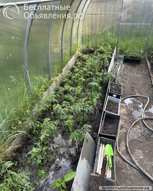 Дом-Баня с земельным участком