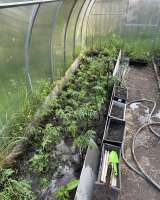 Дом-Баня с земельным участком