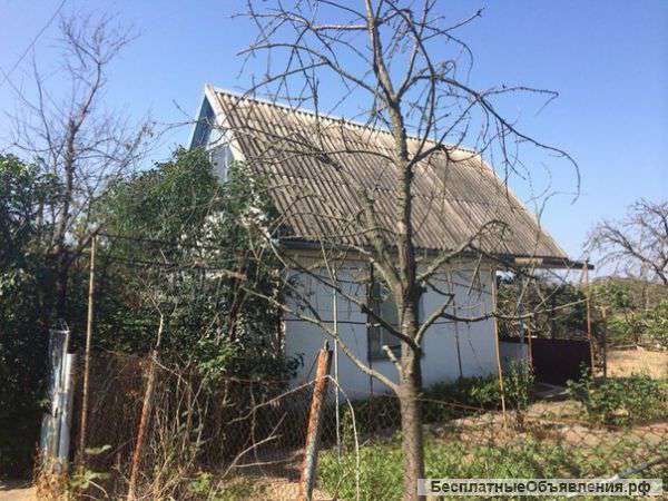 Две дачи в щелкино