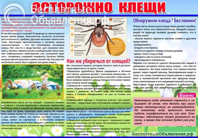 Санитарный бюллетень (Санбюллетень) за 1 час