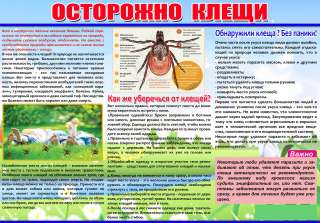 Санитарный бюллетень (Санбюллетень) за 1 час