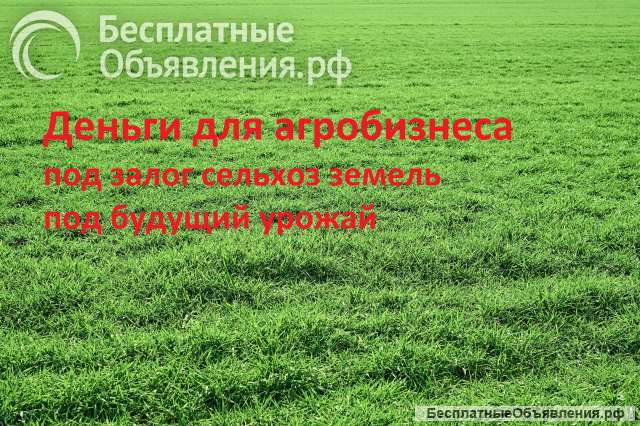 Финансирование агробизнеса сельхозпроизводителей