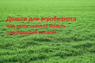 Финансирование агробизнеса сельхозпроизводителей