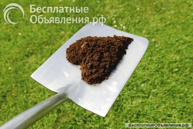 Коровий и конский навоз