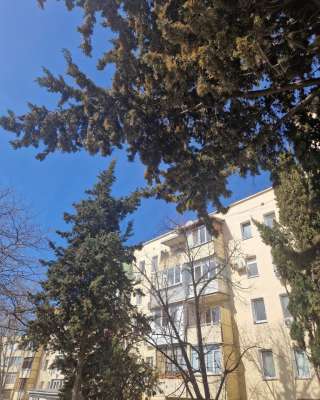 Квартира в Севастополе (пр-т Острякова ч)