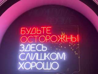 Срочный ремонт измельчителя пищевых отходов INSINKERATOR ISE Evolution, Bone Crusher, любых марок и