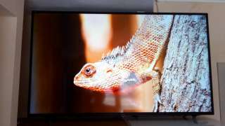 Телевизор sharp 55 дюйма