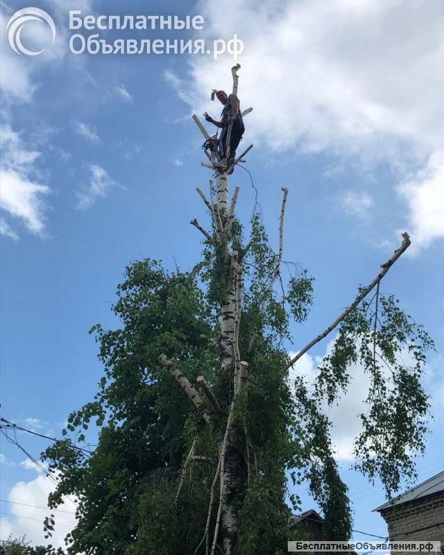 Выполняем все виды строительных работ