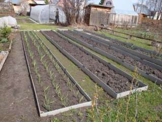 Полосы шифера для грядок