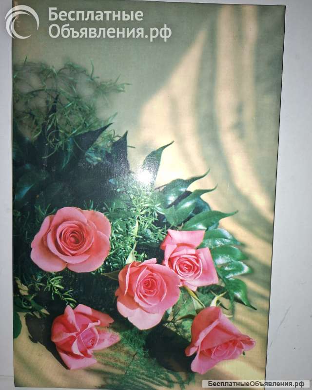 Папка для поздравлений