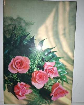 Папка для поздравлений