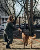 Микки ищет дом