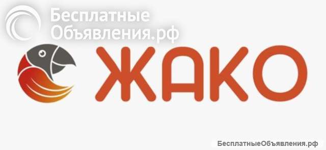 Онлайн-школа рисования ЖАКО - ваш ключ к мастерству