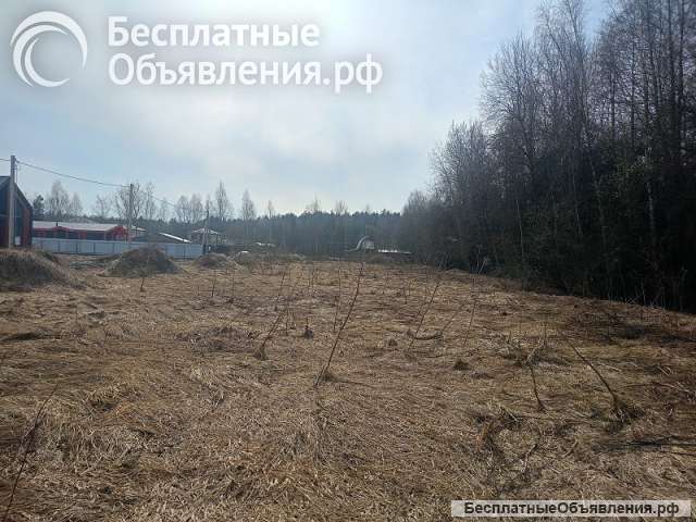 Два участка по 10 сот в п. Новое Борилово