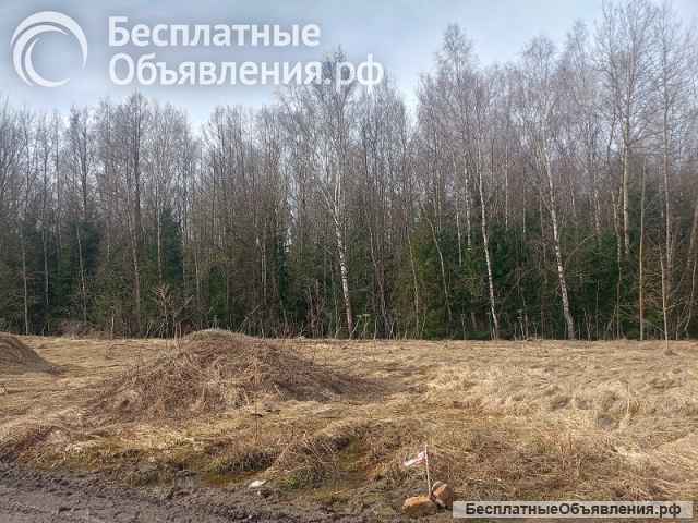 Два участка по 10 сот в п. Новое Борилово
