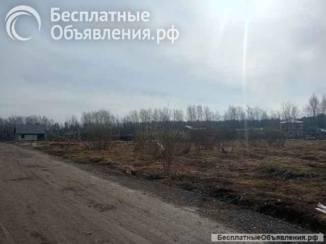 Два участка по 10 сот в п. Новое Борилово
