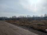 Два участка по 10 сот в п. Новое Борилово