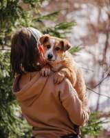 Милейшая Дива, домашняя девочка-щенок ищет дом