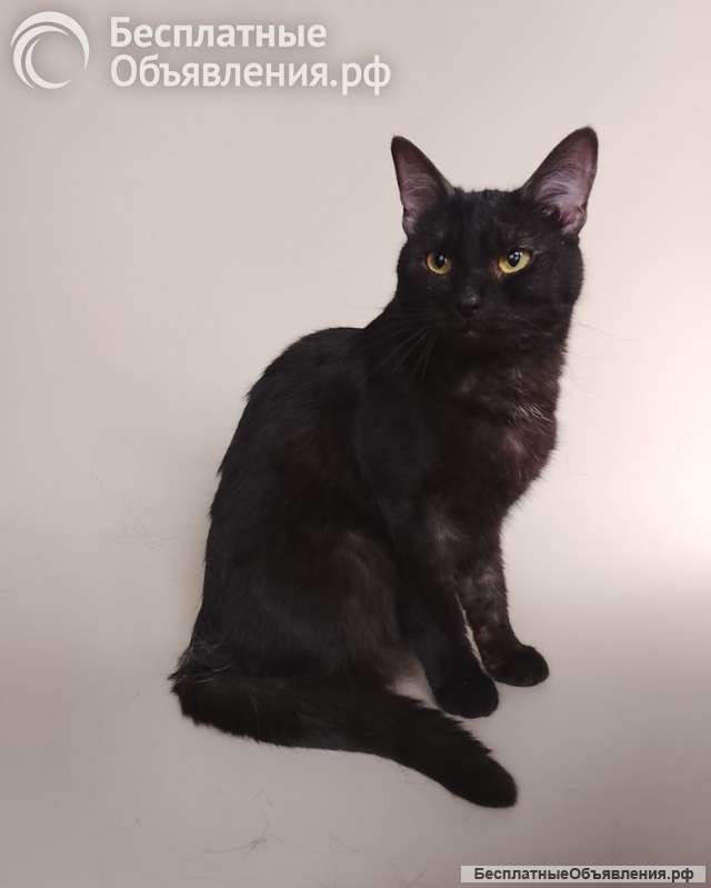 Сабрина ищет дом