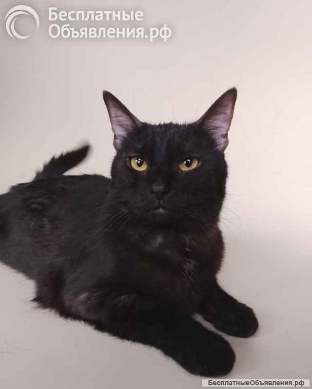 Сабрина ищет дом