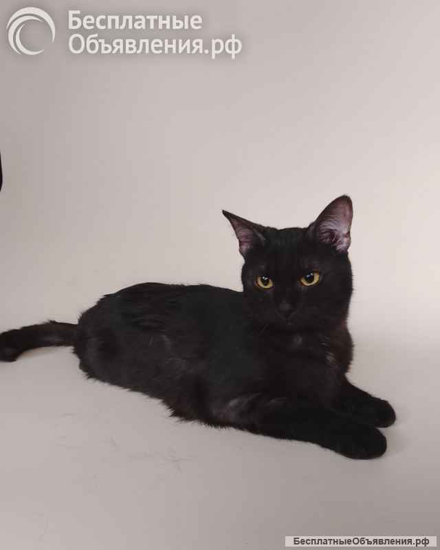 Сабрина ищет дом