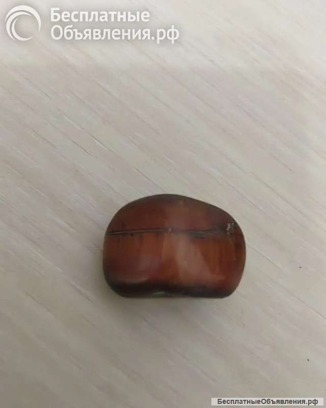 Бычи глаз галтовка