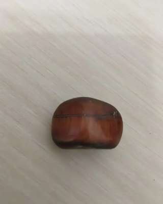 Бычи глаз галтовка