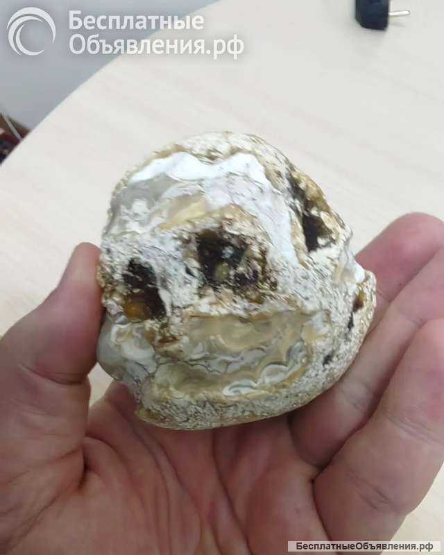 Жеода ага гоби