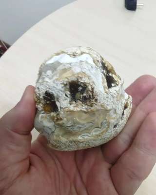 Жеода ага гоби