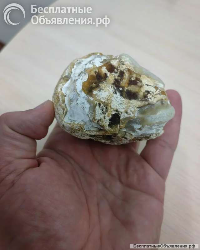 Жеода ага гоби