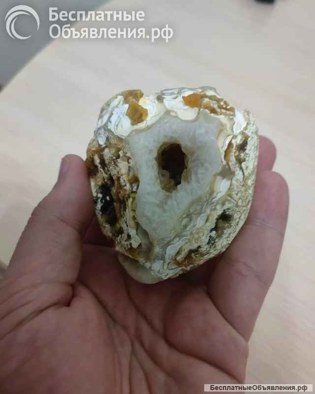 Жеода ага гоби