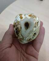 Жеода ага гоби