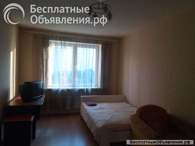 Сдам большую однокомнатную квартиру в новом доме