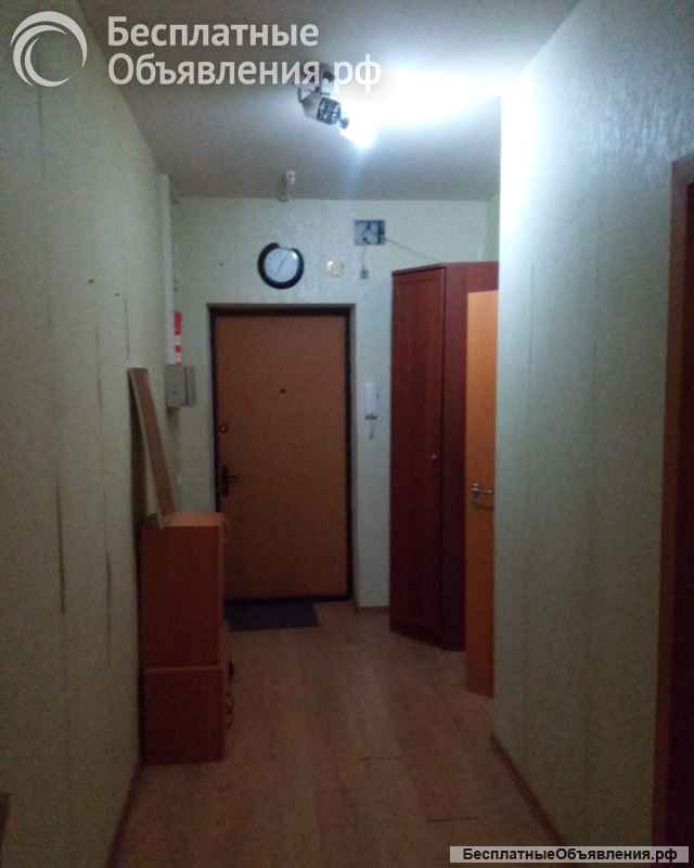 Сдам большую однокомнатную квартиру в новом доме