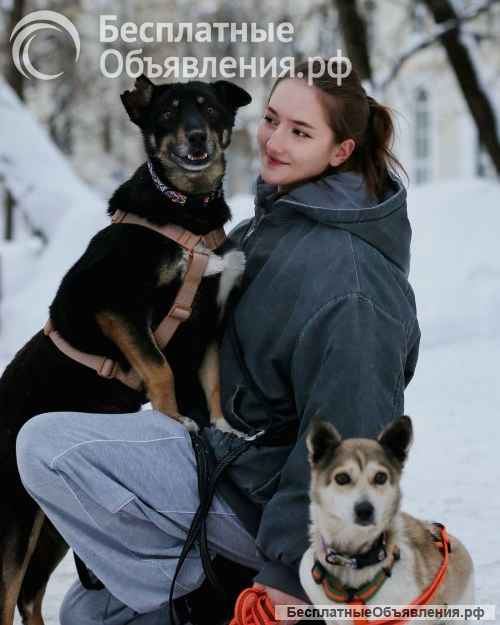 Вива не помнящая зла