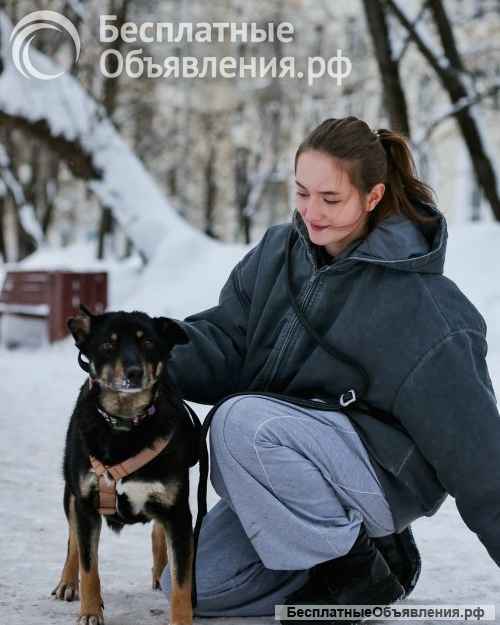 Вива не помнящая зла