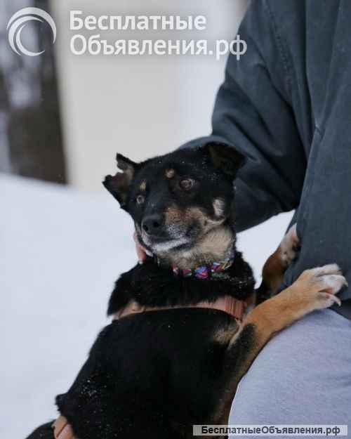 Вива не помнящая зла