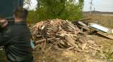 Дрова сухие, пиленные, не пиленные