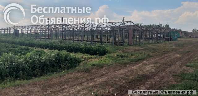 Производственная база с земельным участком 2.5 га