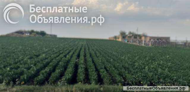 Производственная база с земельным участком 2.5 га