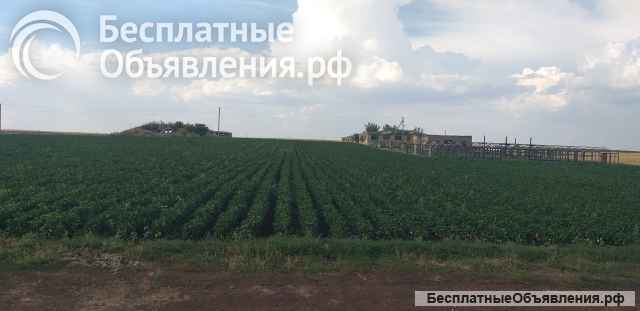 Производственная база с земельным участком 2.5 га