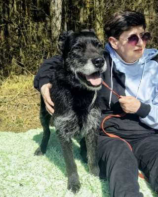 Багги сдали в приют как ненужную вещь при переезде