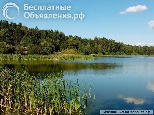 Зимний бревенчатый рубленный дом