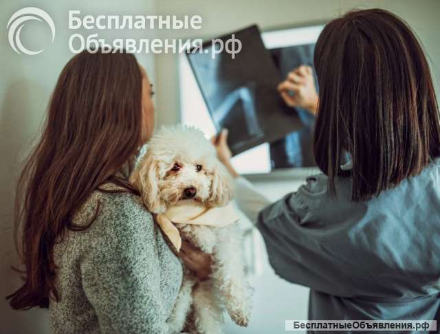 Юнивет - вет клиника Домодедово