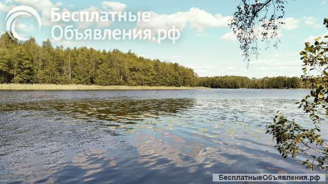 Земельный участок в д. Нелаи