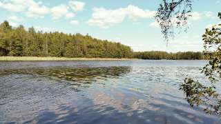 Земельный участок в д. Нелаи